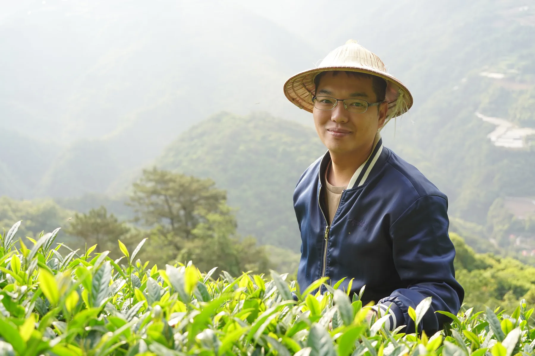 开垦不是背景，是产地资产时期的合欢山茶园纪录 Reclamation as an origin asset record of the Hehuan Mountain estate